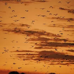 sunset time full day trip by luxury open deck in Komodo National Park