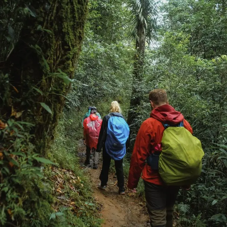 trekking track to wae rebo