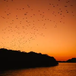 sunset time at kalong island komodo national park